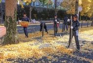 早渕中生徒が落ち葉かき