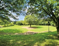 外あそびしようよ