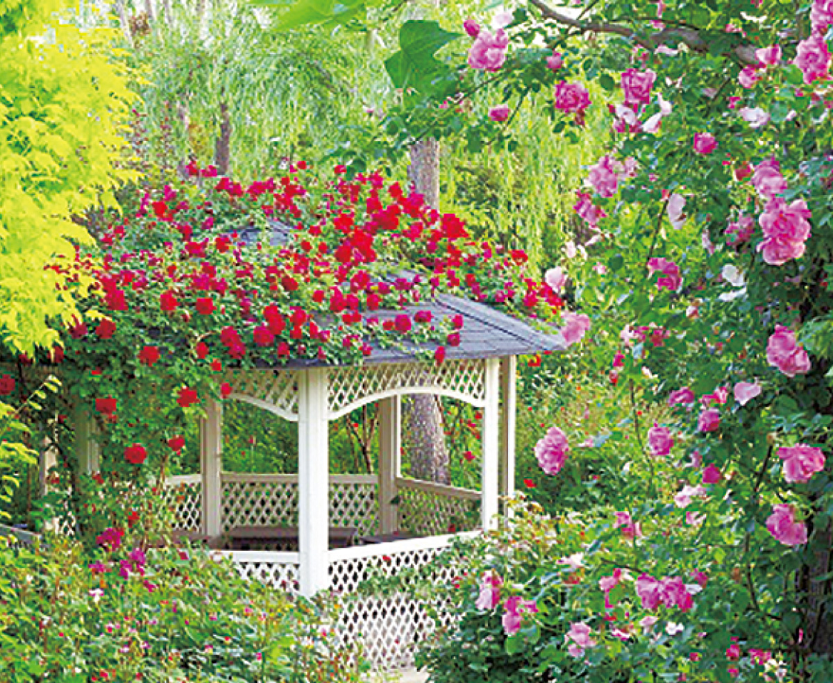 ローズフェア開催 横浜イングリッシュガーデン 横浜イングリッシュガーデン 中区 西区 タウンニュース ローズフェア開催 横浜イングリッシュガーデン 横浜イングリッシュガーデン 中区 西区 タウンニュース