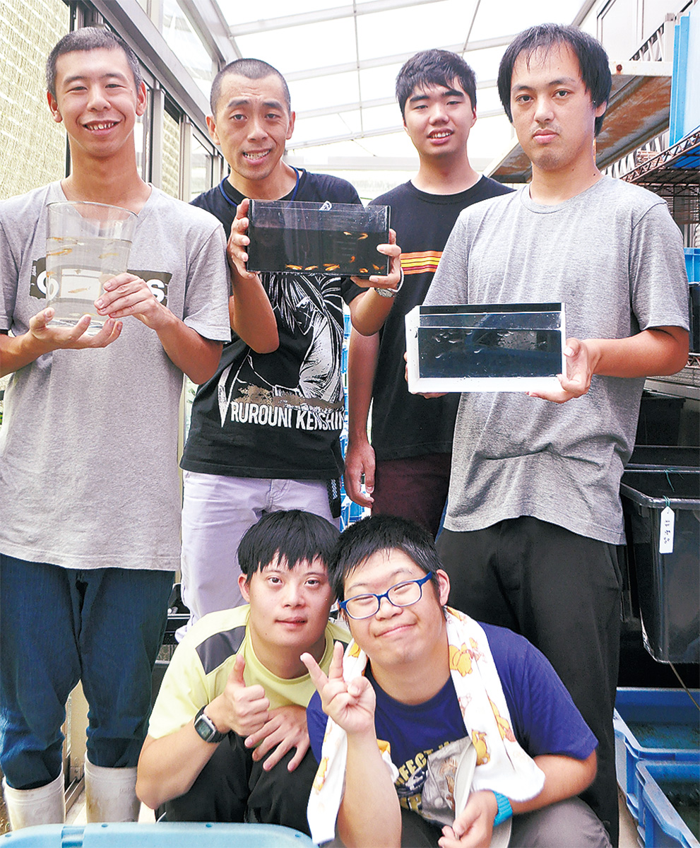 水生生物で就労訓練 障害者らメダカなど飼育 都筑区 タウンニュース