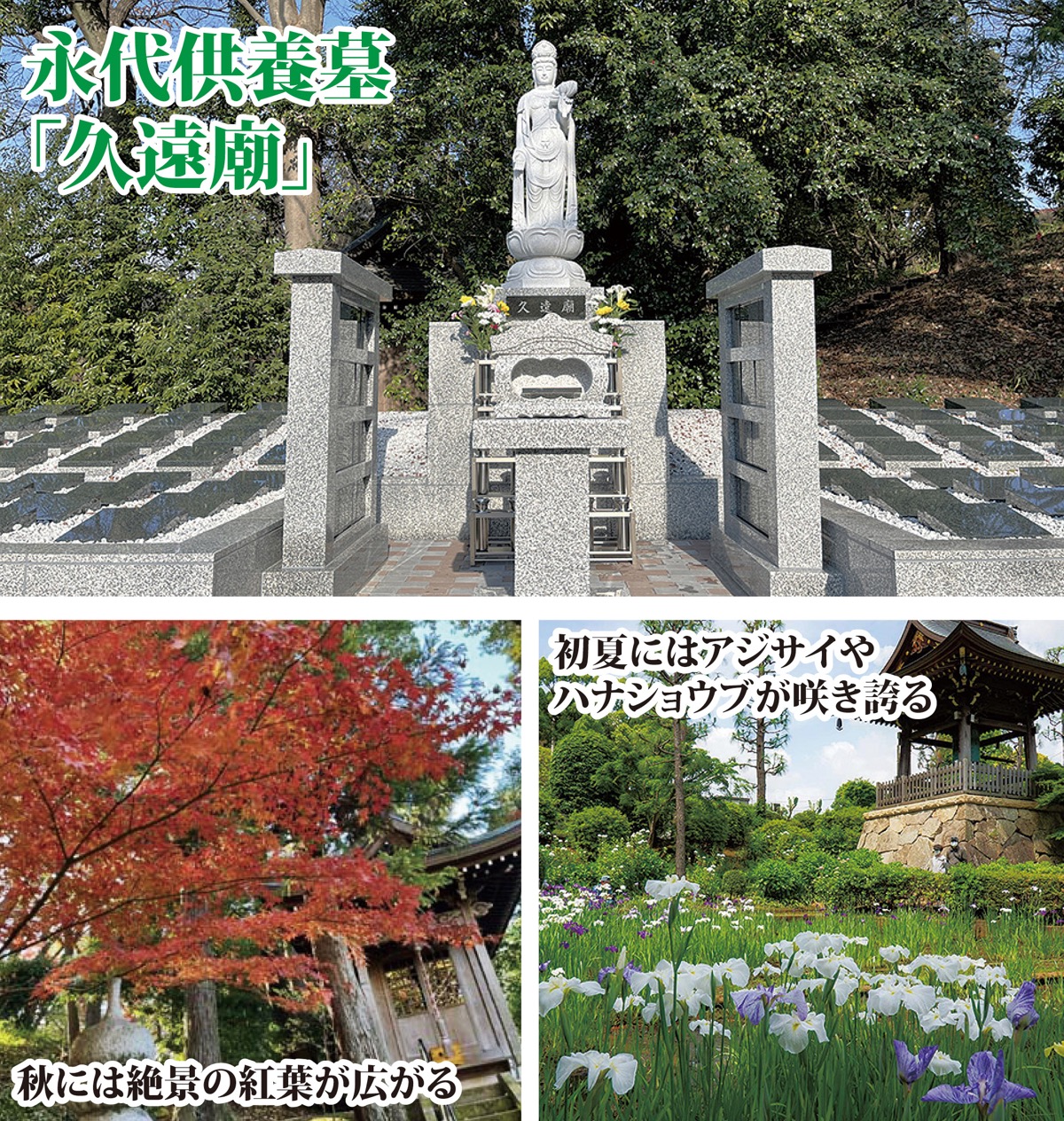 正覚寺 センター南の花の名所 永代供養墓 受付中 散策がてらの見学大歓迎 都筑区 タウンニュース