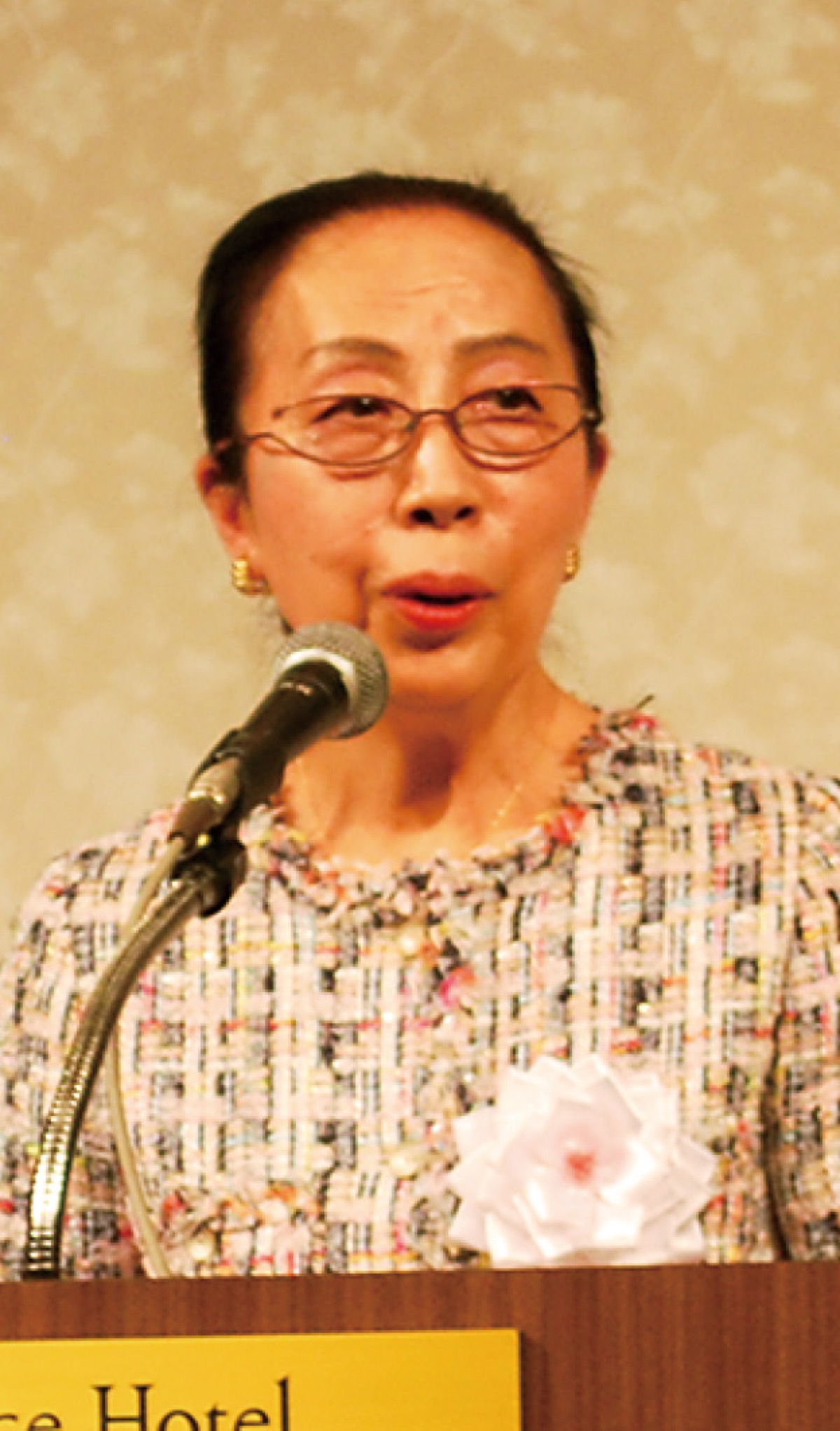 あいさつする横手副委員長