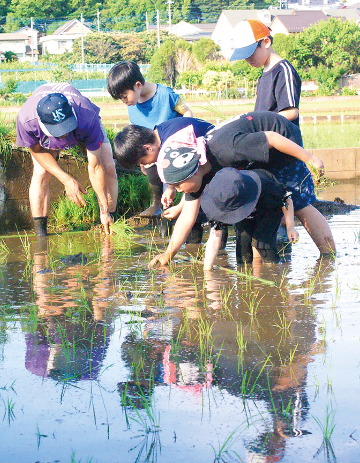 田植えで五感刺激