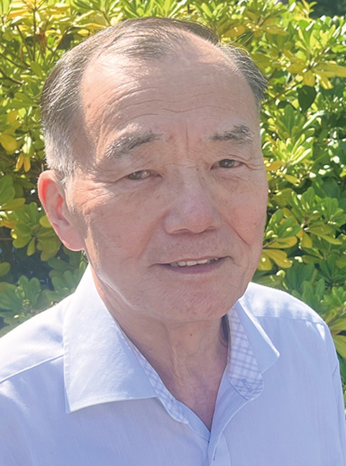 ｢ゆるやかな｣活動を