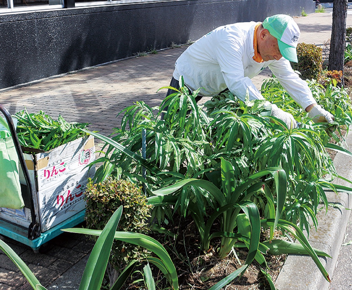｢きれいな街のために｣