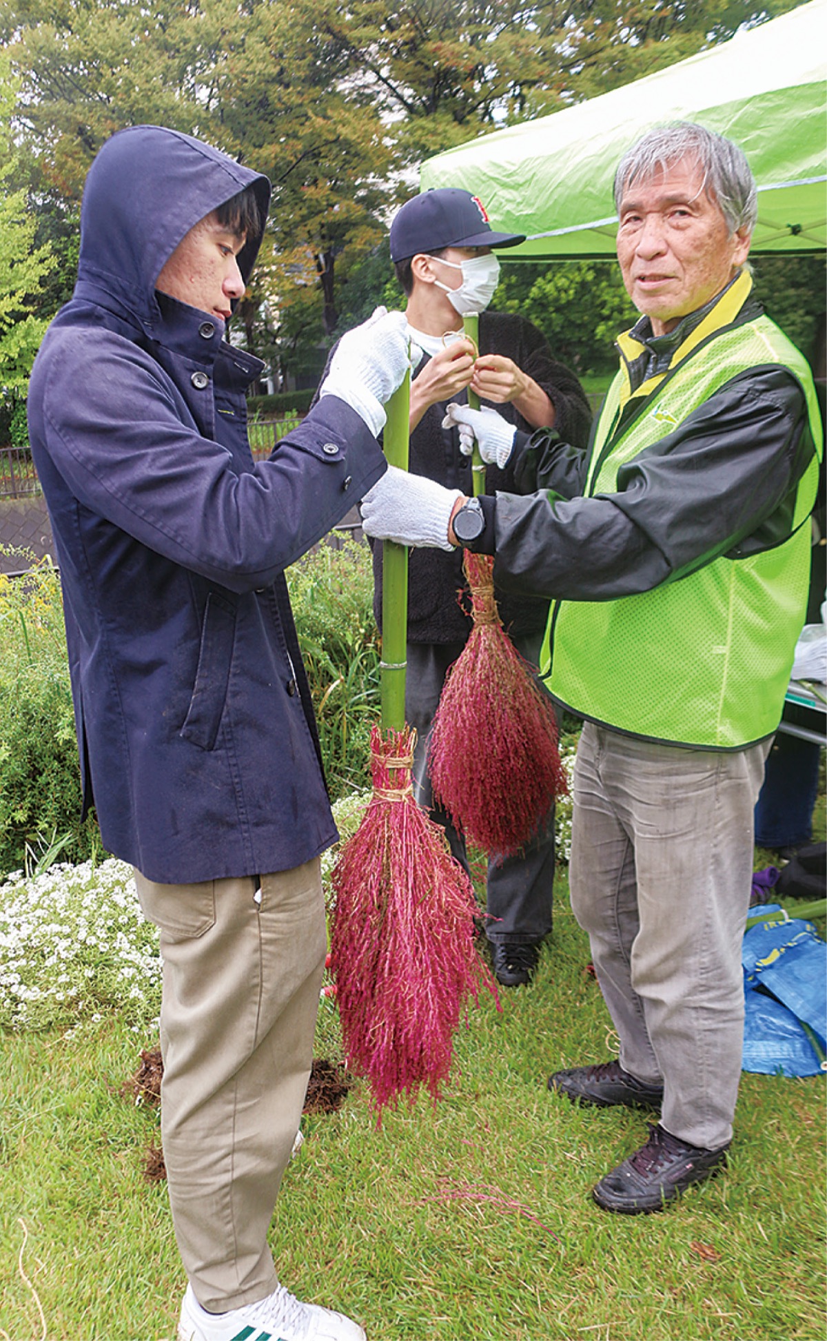 ほうき草でほうき作りも