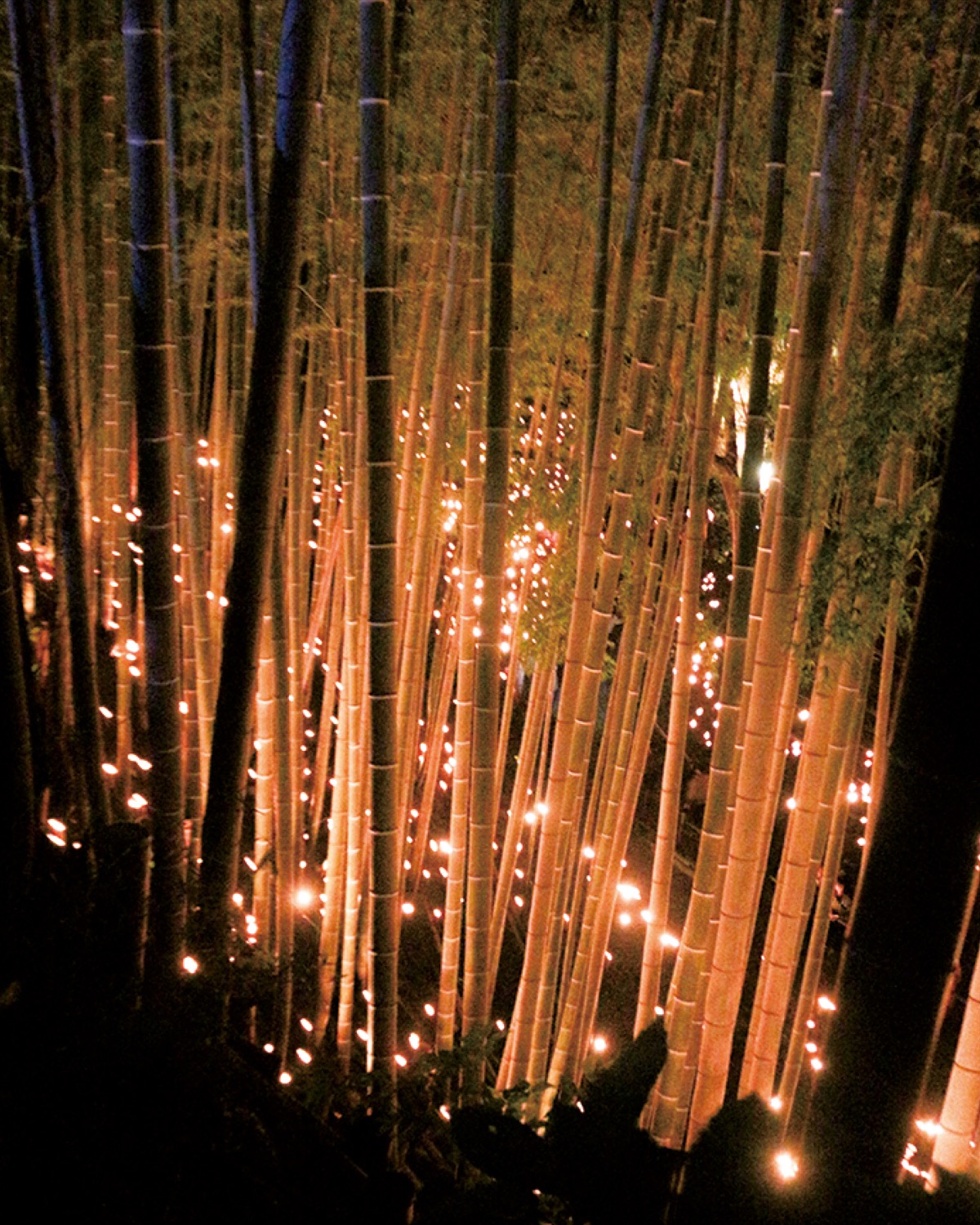 幽玄に城址照らす焔