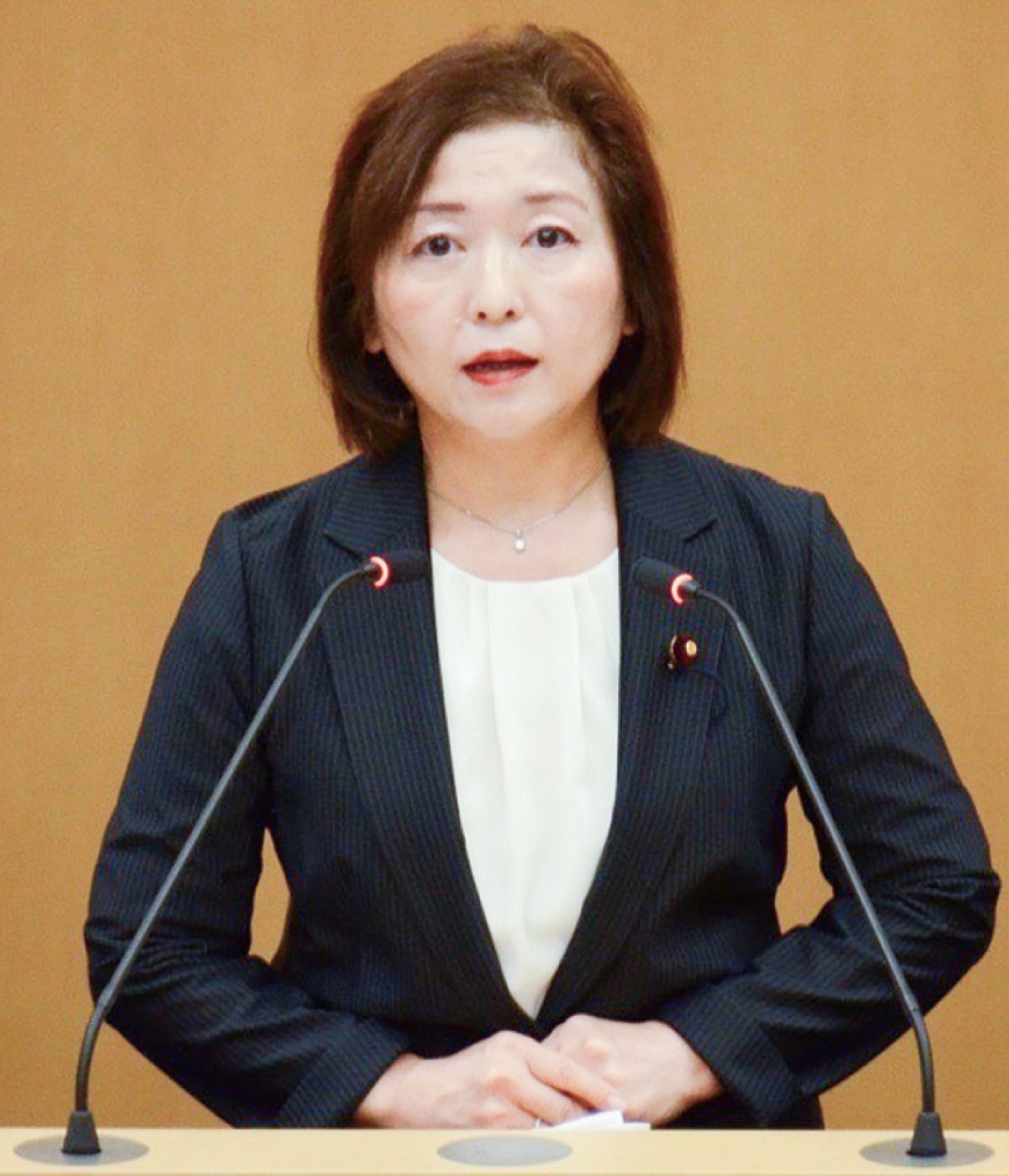 初めての一般質問時