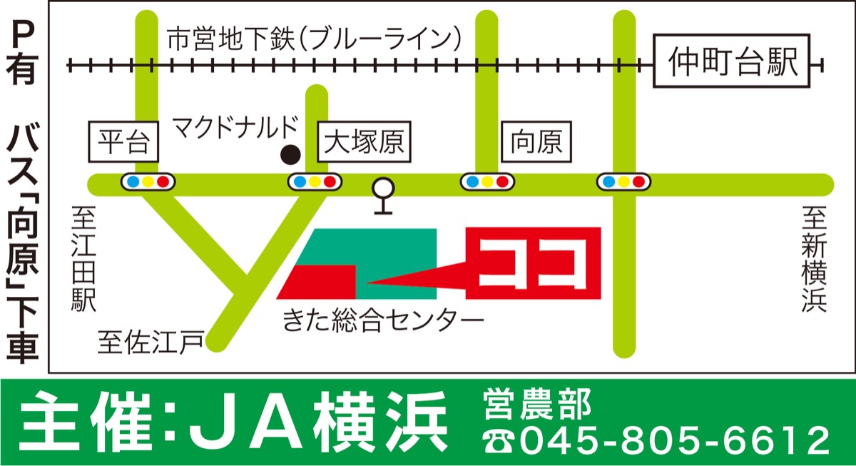 春の園芸フェア開催 (写真2)