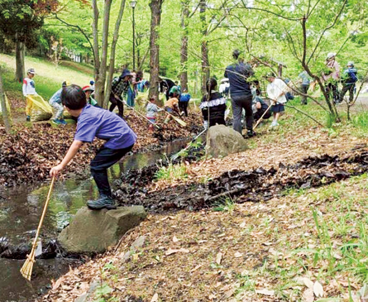 落ち葉を集める参加者