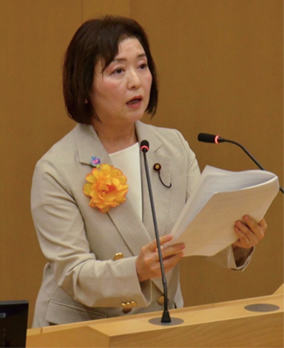 一般質問に登壇