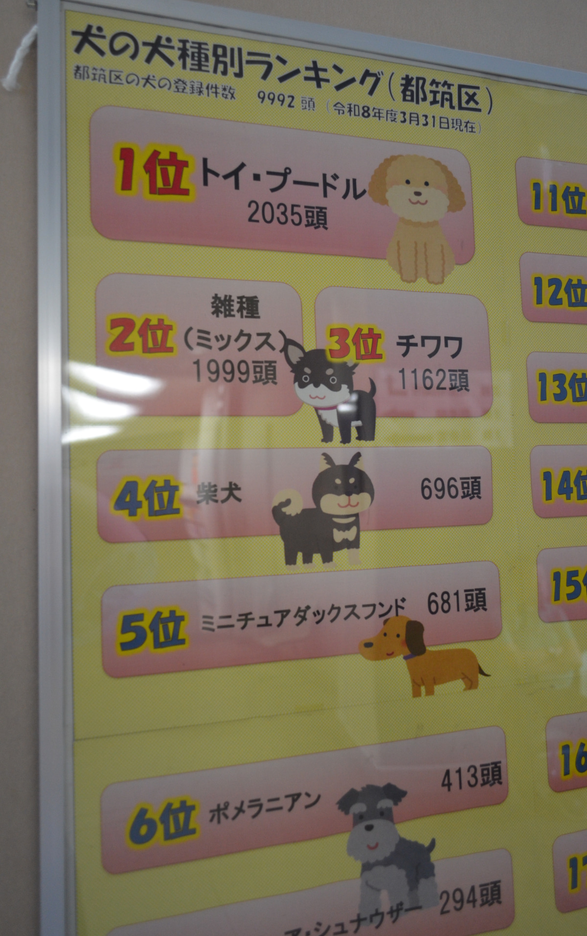 都筑区のイヌの登録件数の犬種別ランキング