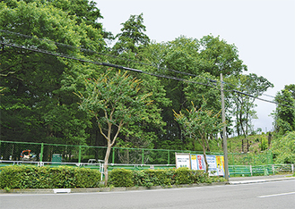 旭区柏町では、区内５番目の「市民の森」の整備が進行中。約1.9haが緑地保全された。８月31日まで工事予定
