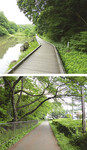 県立四季の森公園（写真上）とふるさと尾根道緑道（下）