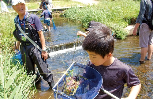 さまざまな生き物を発見した