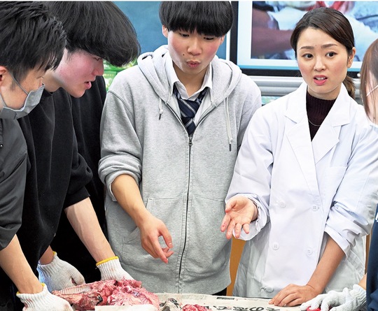 摘出した脳の機能を説明する伊藤教諭（中央右）