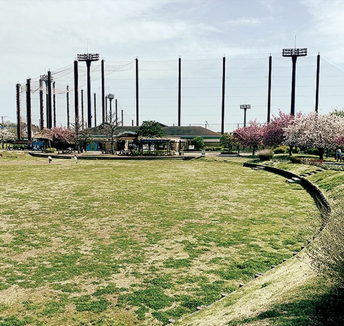 青空が広がる公園