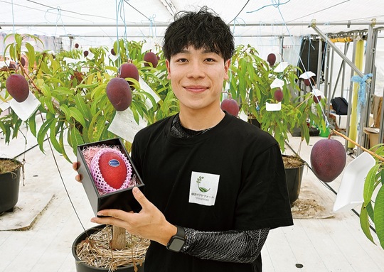 「横浜マンゴー」を持つ小川名さん