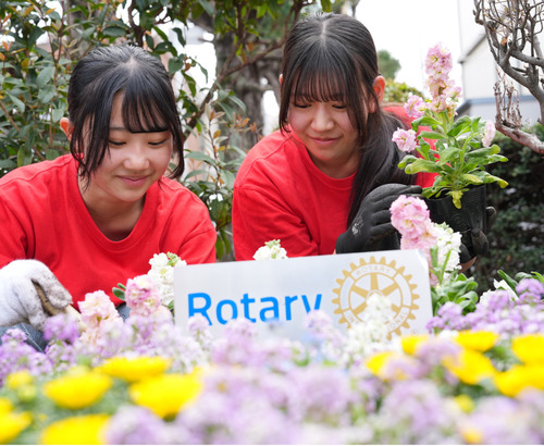花を植える参加者