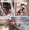 瀬谷の生き物だより 199