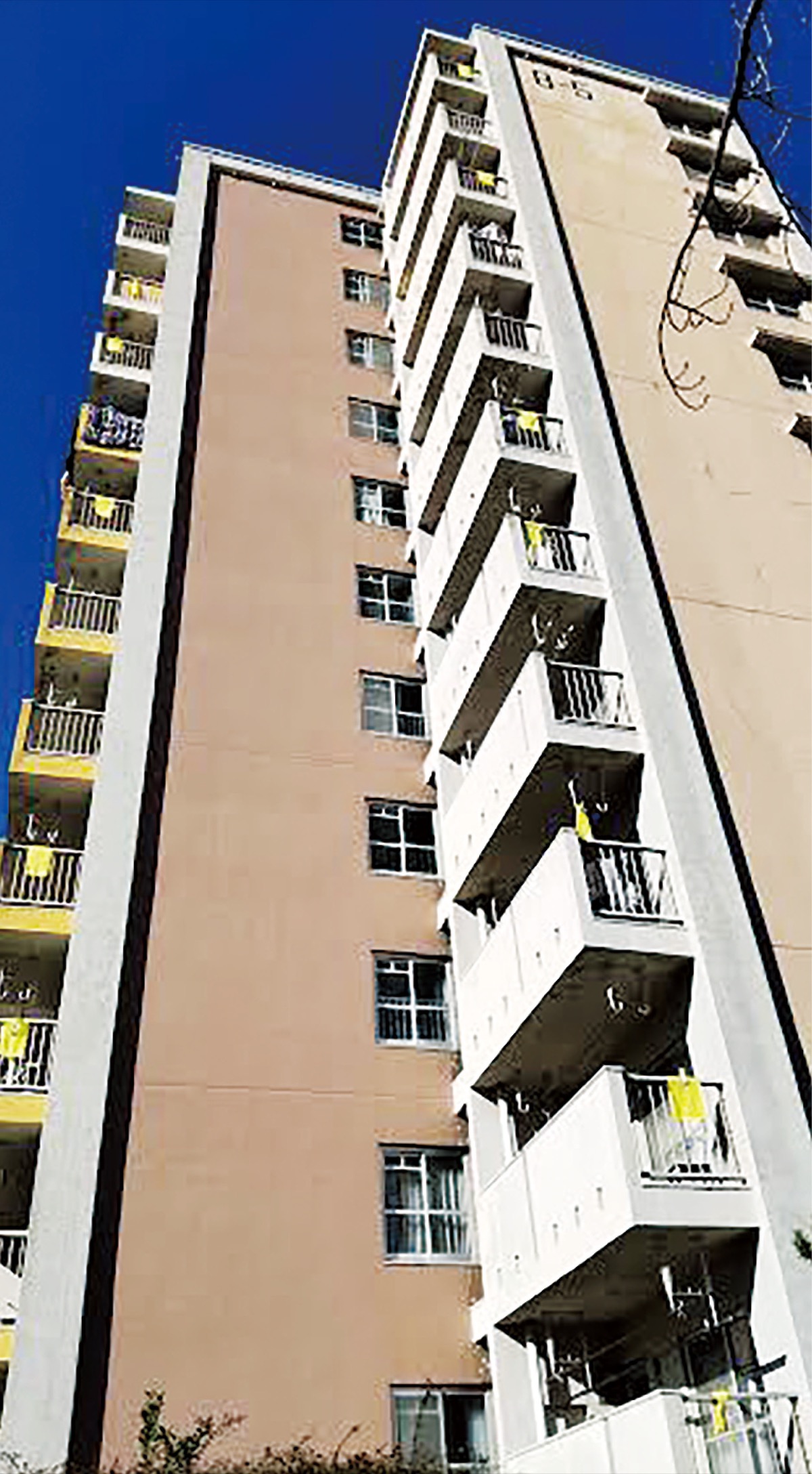 非接触型の防災訓練