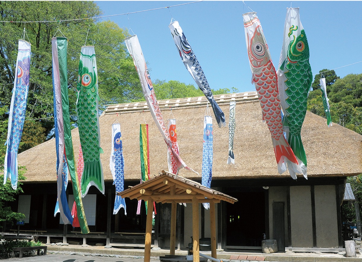 長屋門公園 自然と歴史、文化を堪能 8日まで鯉のぼり掲揚 | 旭区