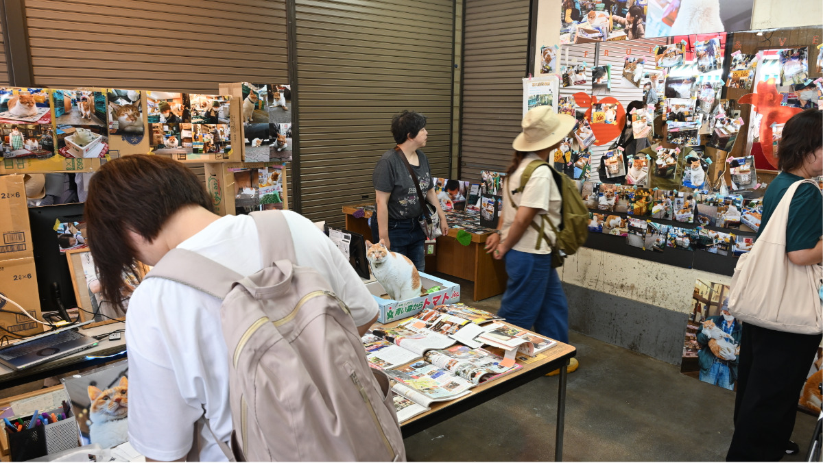 看板猫の記録が蘇る