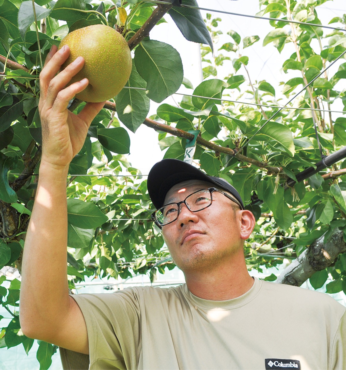 育てた｢幸水｣市長賞