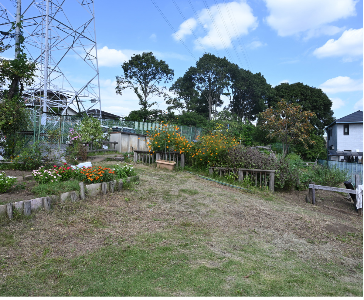 花摘みやさつまいも掘りで自然に親しむ