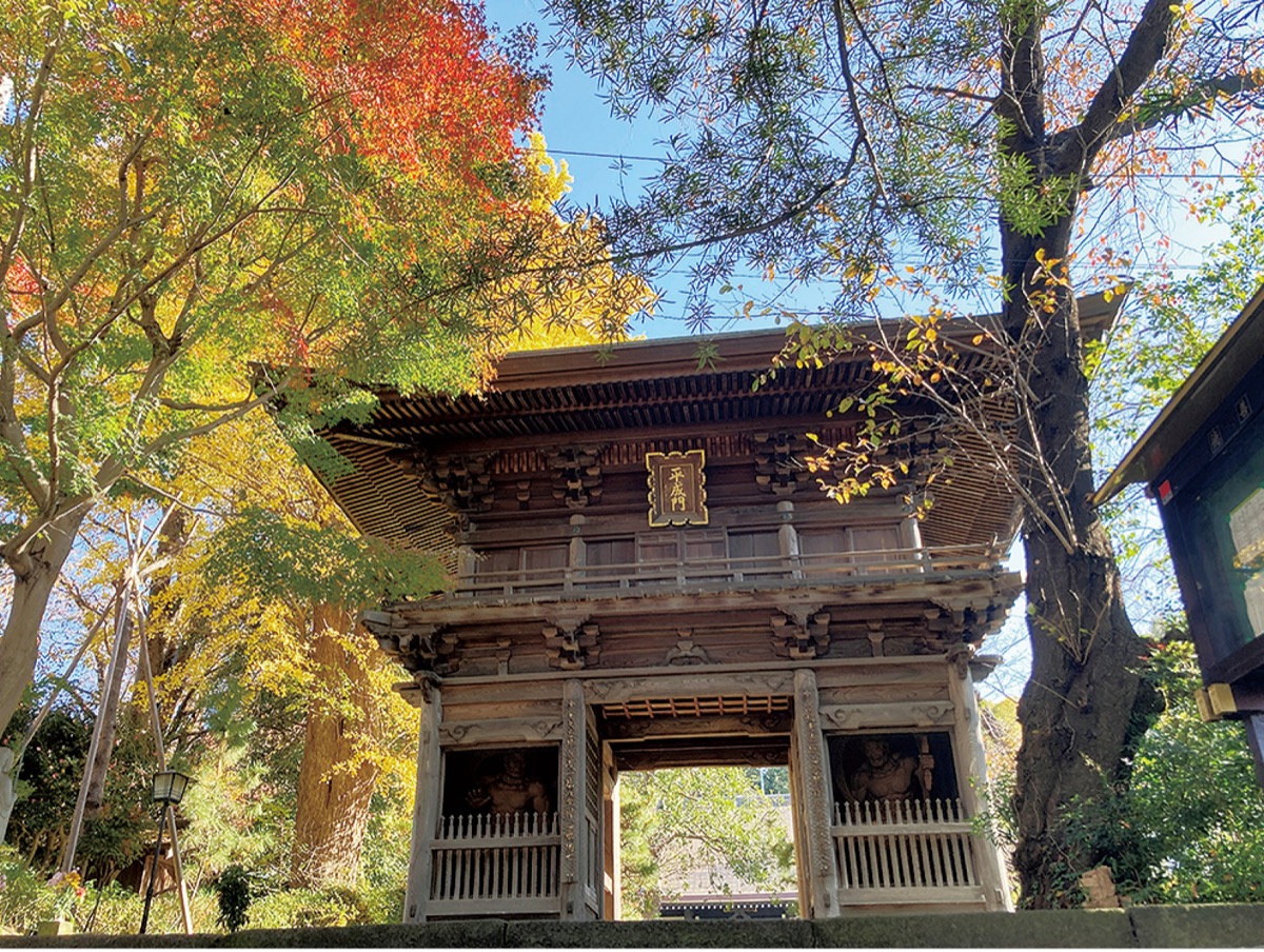 街なかの移動、身軽で快適に