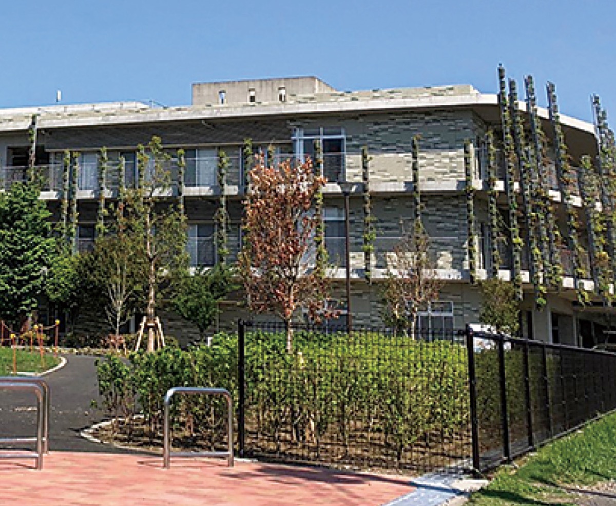 屋上に太陽光パネルが設置されている愛成苑