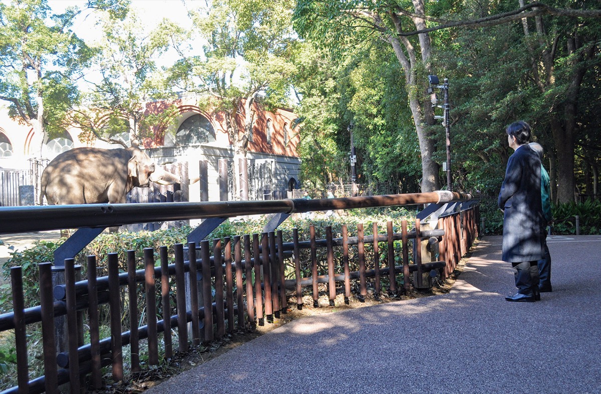 秋篠宮さま、ズーラシアを視察