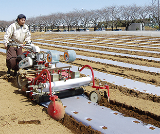 「大根の種をまくために導入した」という種まき用の機械でトウモロコシの播種作業をする平本さん