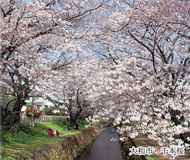 春のおでかけガイド