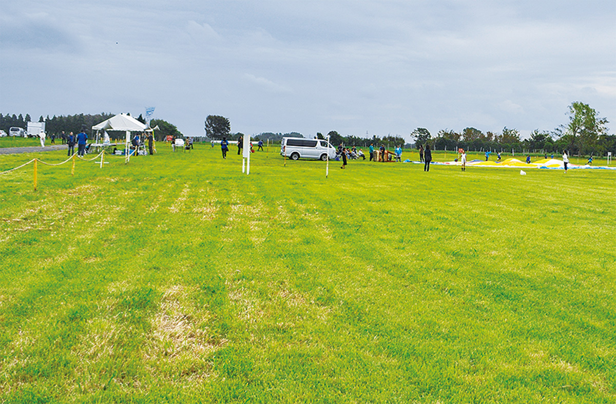開放されている広場