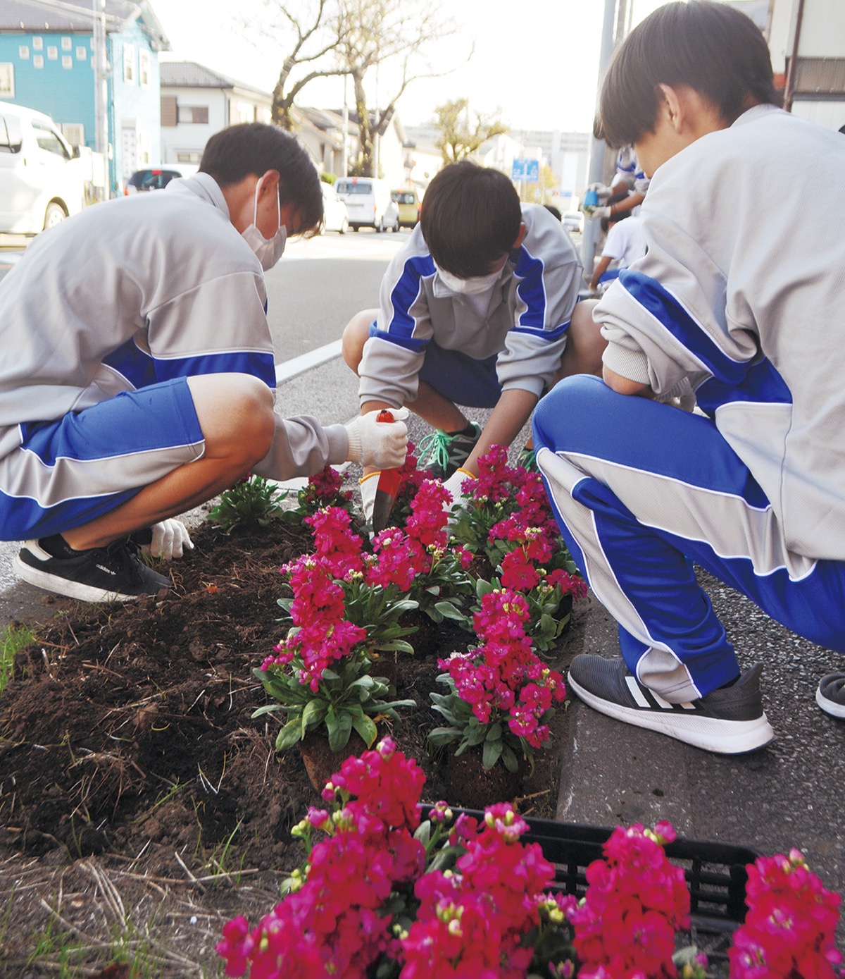 瀬谷西高校 海軍道路を花で彩る 国際園芸博の機運醸成へ 瀬谷区 タウンニュース
