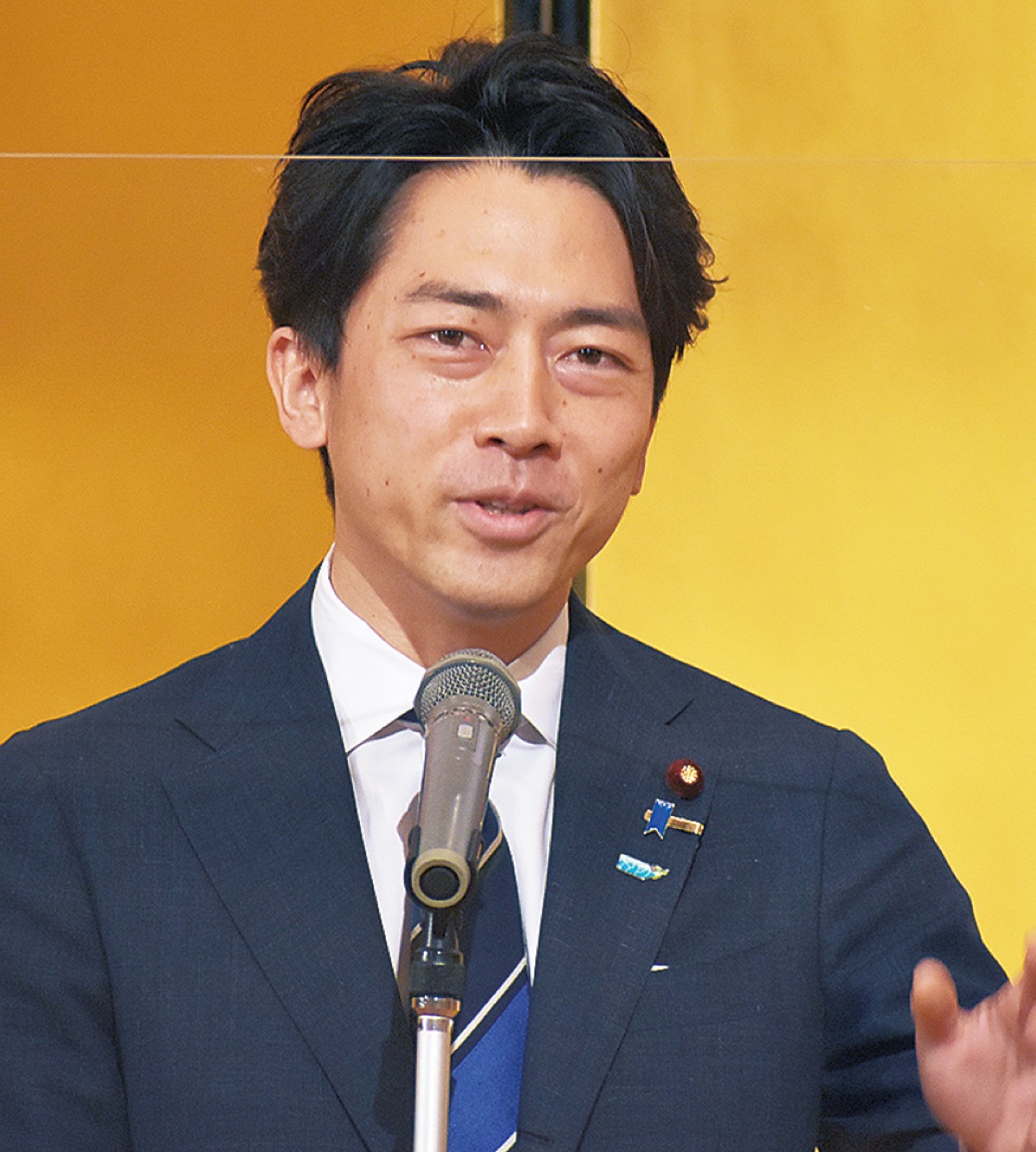 自民党 新県連会長に小泉氏 「カバーし合うチームに」 瀬谷区 タウンニュース