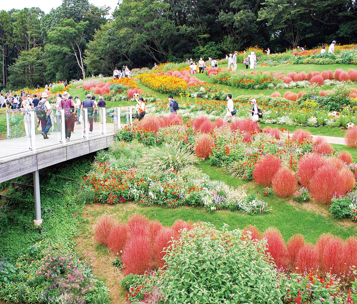 一昨年秋に公開された里山ガーデン内の大花壇
