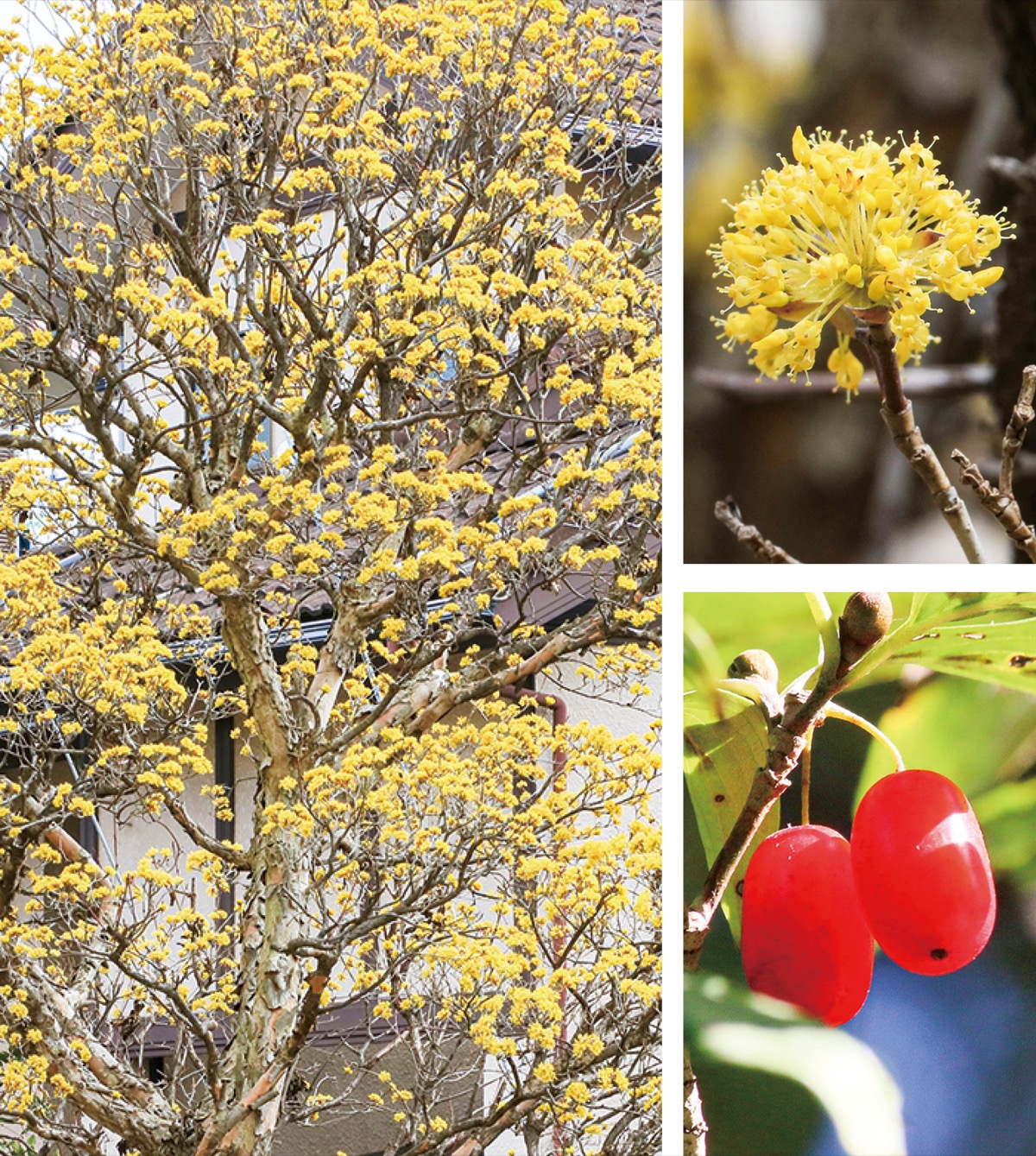 瀬谷の生き物だより158
