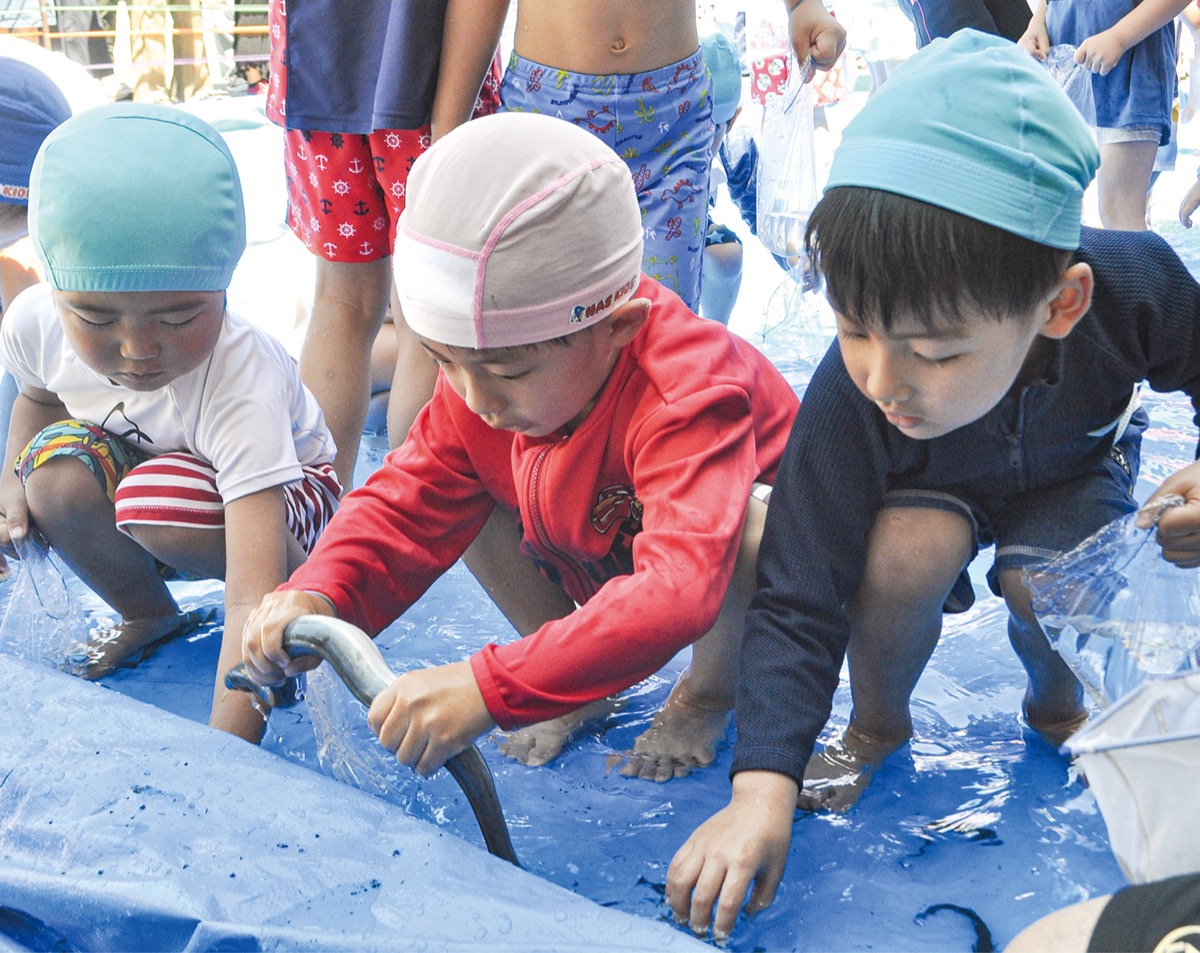 ドジョウに園児興奮