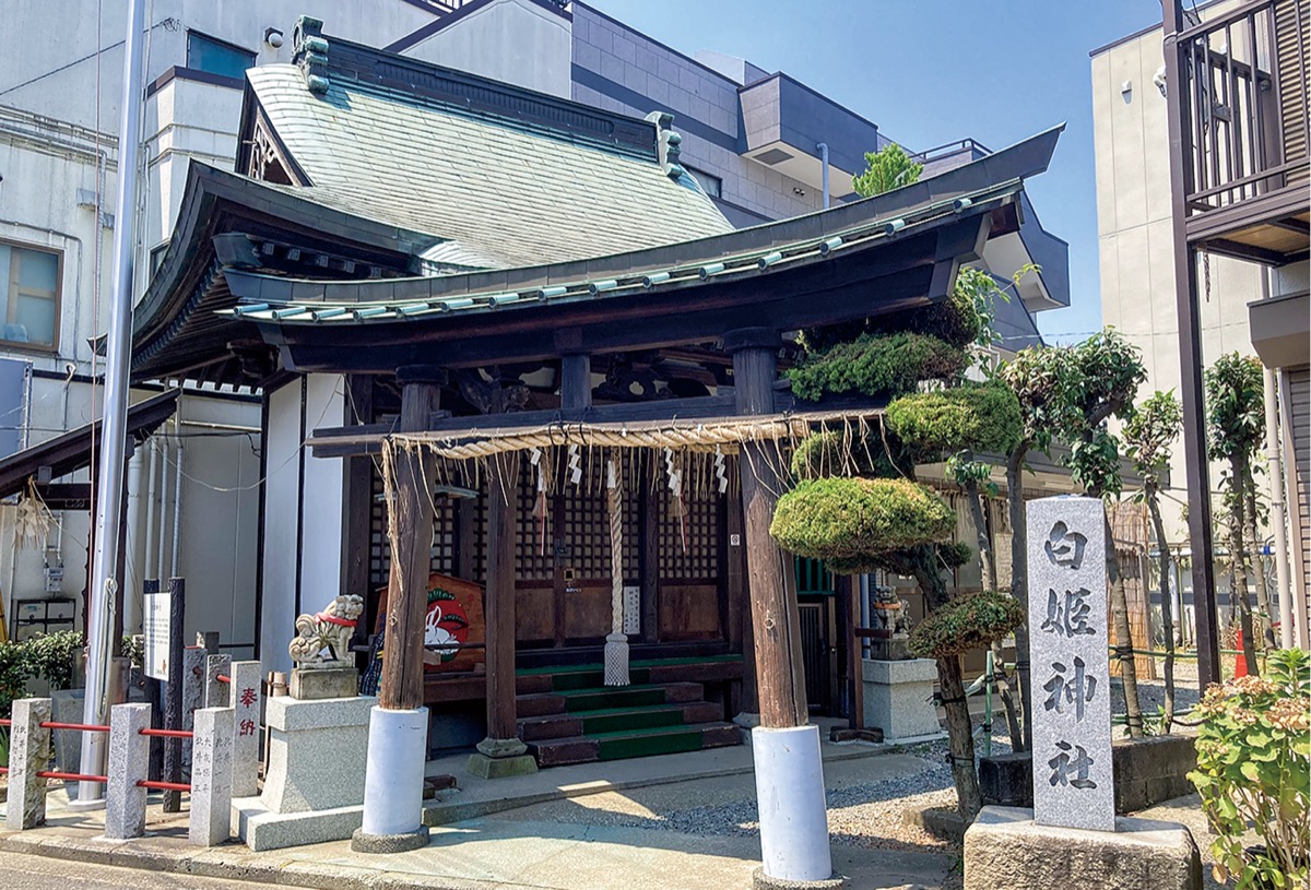 ４年ぶりに白姫まつり