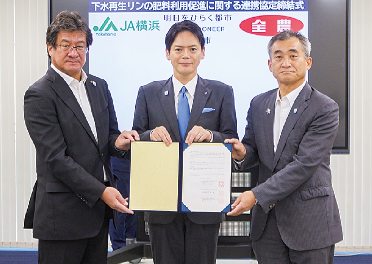 下水汚泥から再生リン