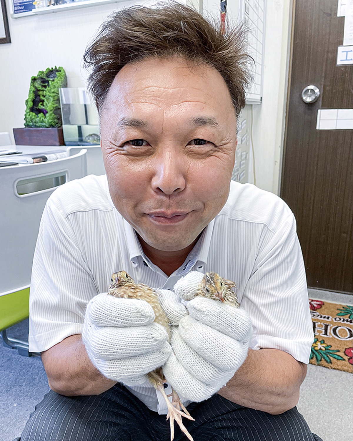 うずらの雛が「生まれたよ」