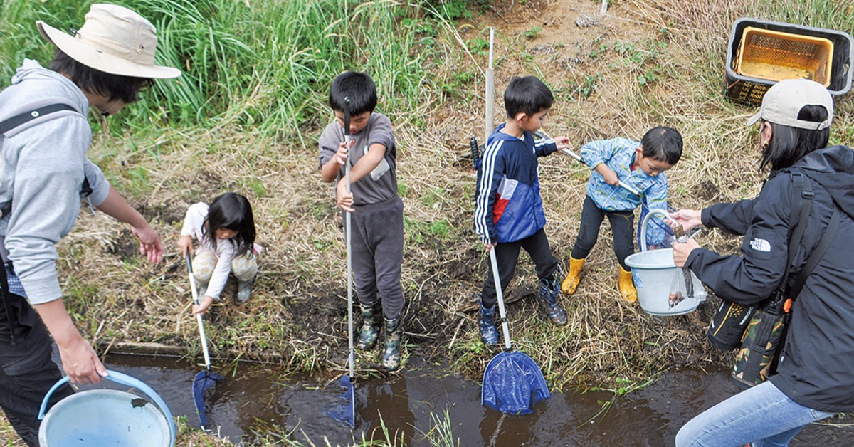 湧水の生き物に興味津々
