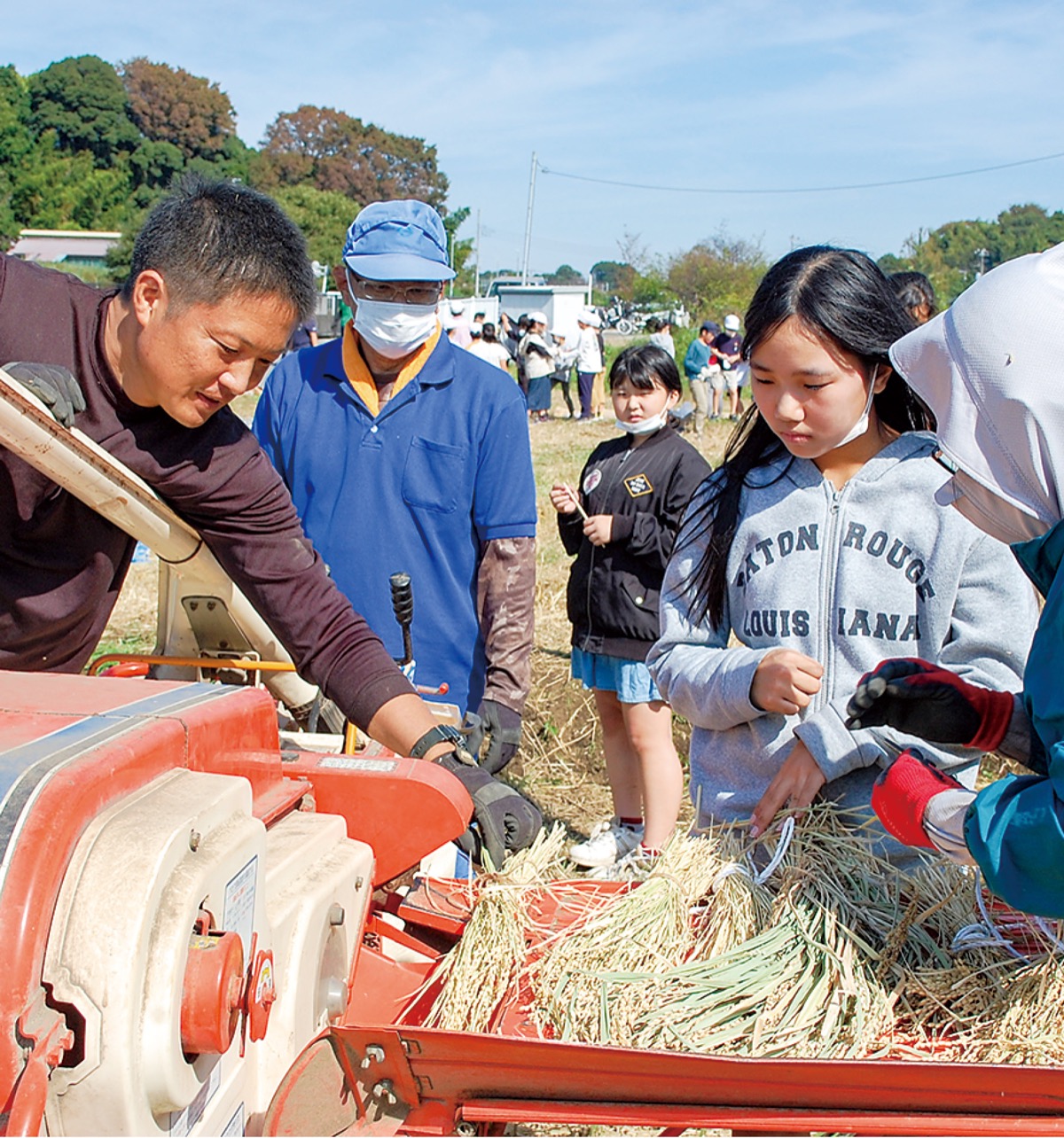 いずみ野小と脱穀作業
