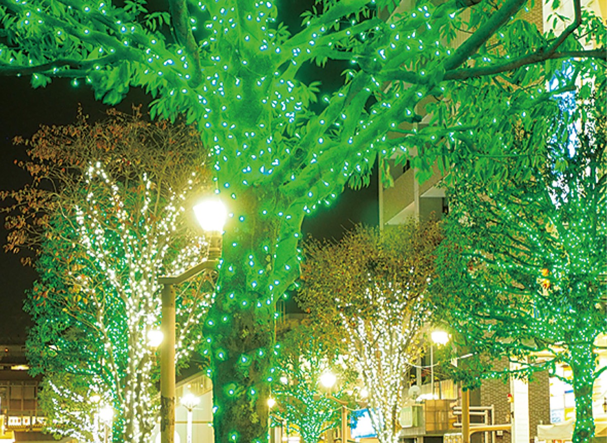 ４万５０００球が街を彩る