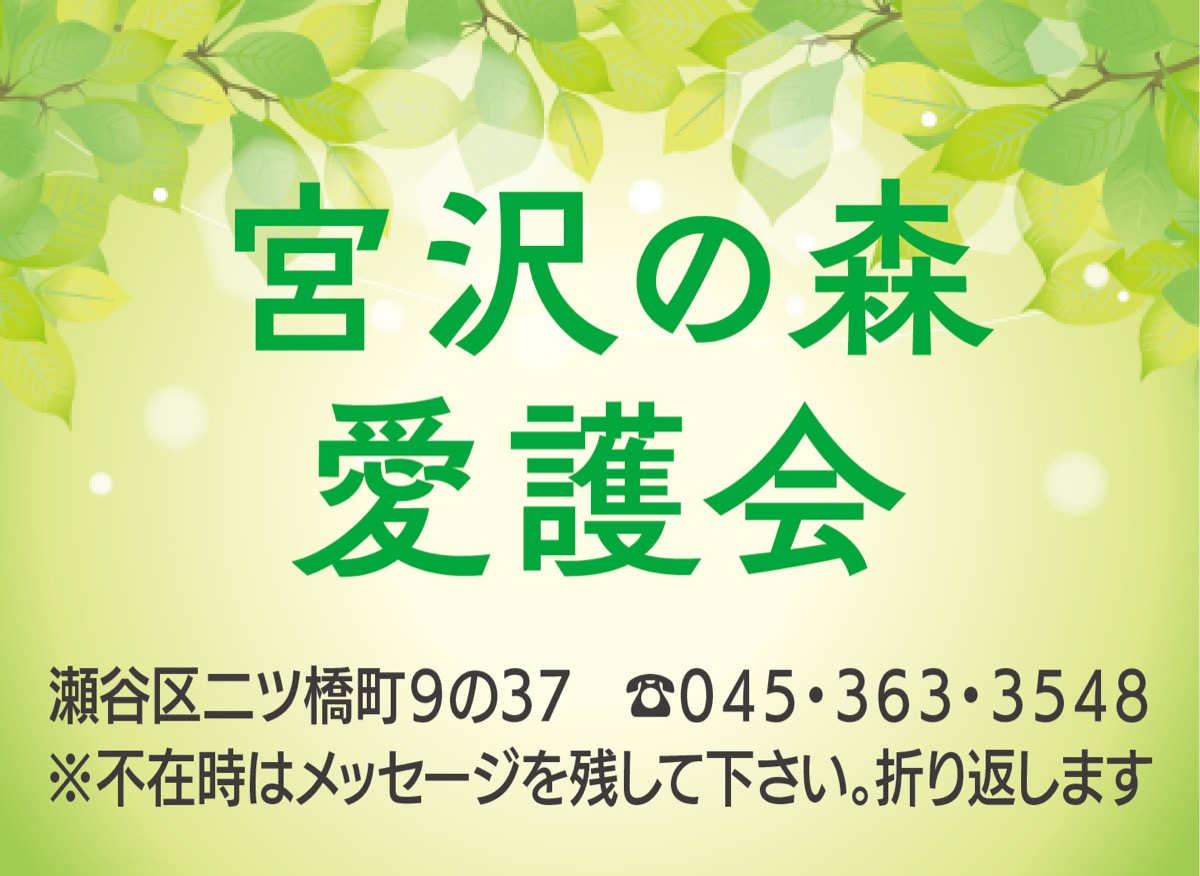 身近な樹林を次世代へ (写真4)