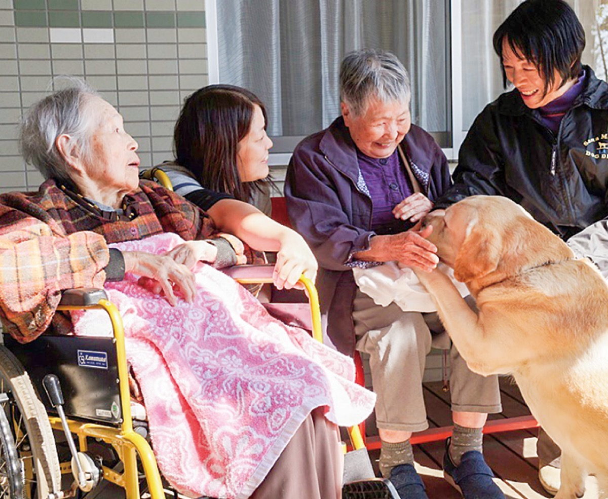 ドッグセラピーで交流する利用者