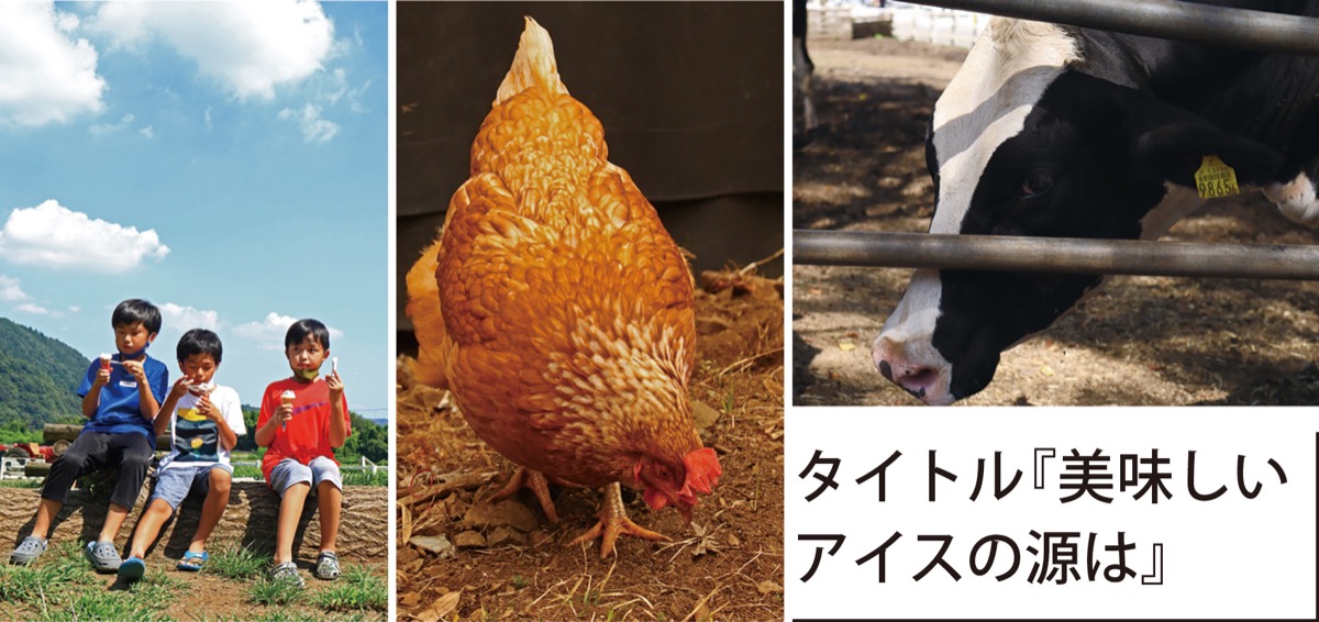 写真で環境伝える