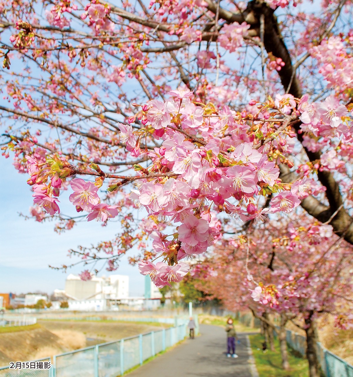 春の気配色濃く